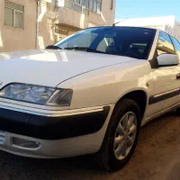 زانتیا سفید سیرجان