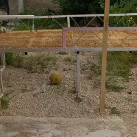 تخت آهنی بزرگ ۲متر عرض و طول ۲متر و ۸۰سانت