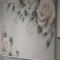 پرده زبرا