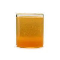 ناپلی آرتمیا تولید روز - غذای‌ زنده حرفه‌ای آبزیان