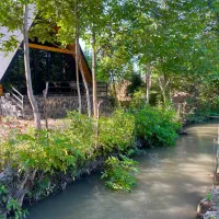 کلبه سوئیسی نوساز لب رودخانه در ماسال|اجارهٔ کوتاهمدت ویلا و باغ|ماسال, |دیوار