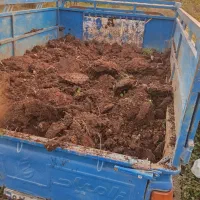 خاک باغچه.شن مخلوط.ماسه برای کف سازی