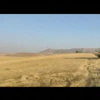 زمین-کشاورزی-دیم