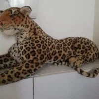 پلنگ