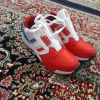 کتونی|کیف، کفش، کمربند|کبودرآهنگ, |دیوار