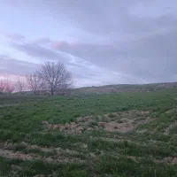 ۱۲۰۰۰ متر زمین آبی سندداربرجاده