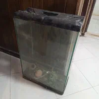 آکواریوم تمیز