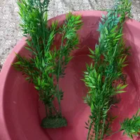 گیاه مصنوعی مناسب آکواریوم