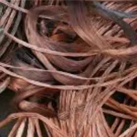 خریدانواع ضایعات قیمت روزوباسکول دیجیتال مکان شما|فعالیت داوطلبانه|سمنان, |دیوار