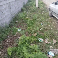 زمین ۱۹۰ متری مسکونی|فروش زمین و ملک کلنگی|تالش, طولارود|دیوار