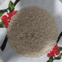 برنج|خوردنی و آشامیدنی|تهران, پارک شهر|دیوار