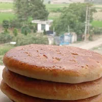 پخت انواع نان ،کیک،حلوا،فلافل خونگی،