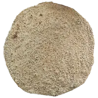 نان سنتی تازه پخت روز