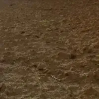 زمین گلخانه سیدآباد