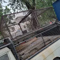 باربند و کفی وانت و پالت میوه