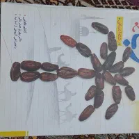 کتاب کنکور جامع عربی نو|کتاب و مجله آموزشی|نسیمشهر, |دیوار