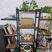 قفسه و رگال