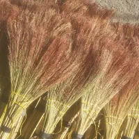 جارو اماده رسیده