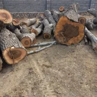 فروش چوب گردو قدیمی