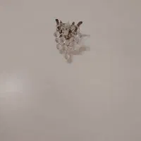 لوستر ۶ شاخه|لوستر و چراغ آویز|کرج, مصباح|دیوار