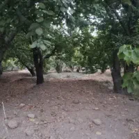 باغ هکتاری مناسب باغ تالار فردوسیه شهریار کرج