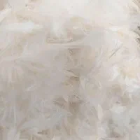 پر مرغ.پر خوشخواب. پر