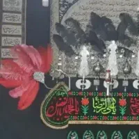پر شترمرغ