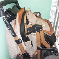 کالسکه مارک چیگو