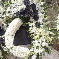 تاج گل طبیعی