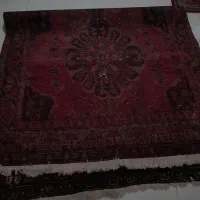 فرش آنتیک حدود 100سال|فرش|بوکان, |دیوار