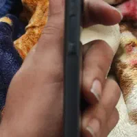 گوشی فروشی فوری نو نو|موبایل|مشهد, بهاران|دیوار