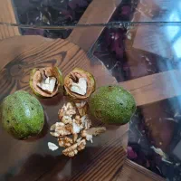 گردو با پوست درجه 1