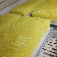 ابنبات و شاخه نبات فروش عمده تولیدی