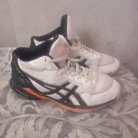 کفش والیبال اسیکس