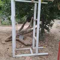 شهر اکواریوم|ماهی|ساری, |دیوار