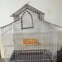 قفس پرنده سالم