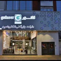 مدیریت وب  سایت شرکت و اینستاگرام