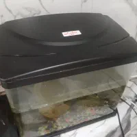 آکواریوم ماهیران