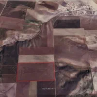 فروش قطعه زمین کشاورزی ۸ هکتار