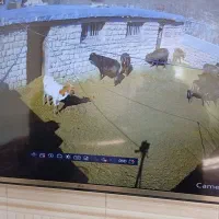 دوربین مداربسته|دوربین مداربسته|جوانرود, |دیوار