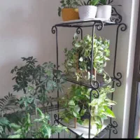 قفسه فرفورژه