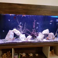 آکواریوم بزرگ ۵۵×۳۰×۱۲۰