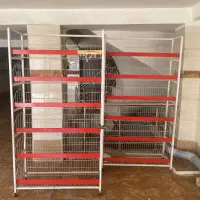 استند ایستاده