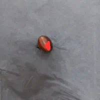 انگشتر چشم ببر اصل