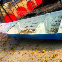 کشتی|قایق و سایر وسایل نقلیه|ارومیه, |دیوار