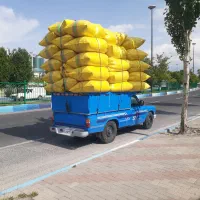 کاه گندم بسیار نرم تمیز