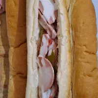 ساندویچ خانگی  هانا|خوردنی و آشامیدنی|گنبد کاووس, |دیوار