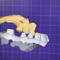 آموزش دندانسازی|استخدام آموزشی|تبریز, |دیوار