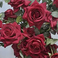 گل زر سرخ و گلدان