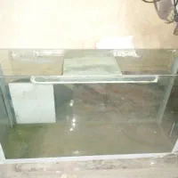 آکواریوم درحد